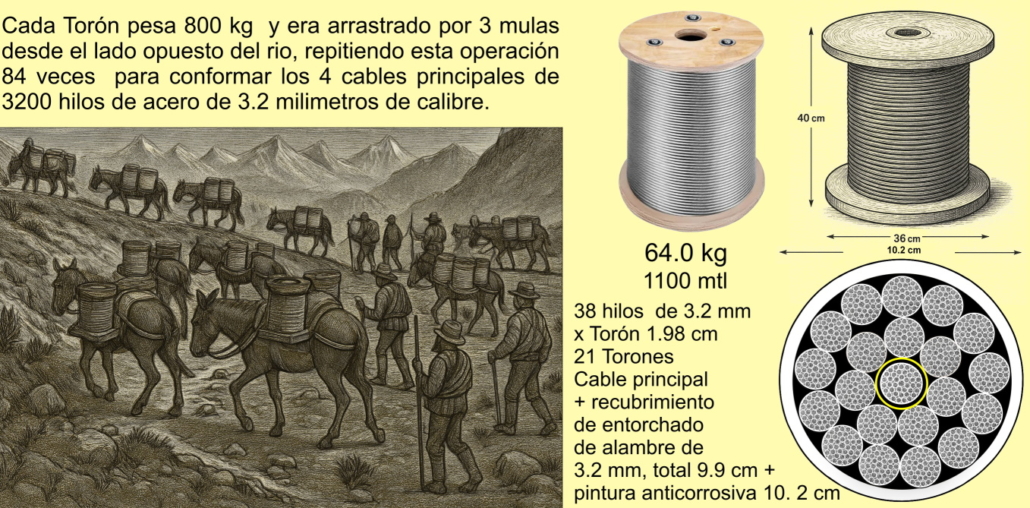 9_reducido1
